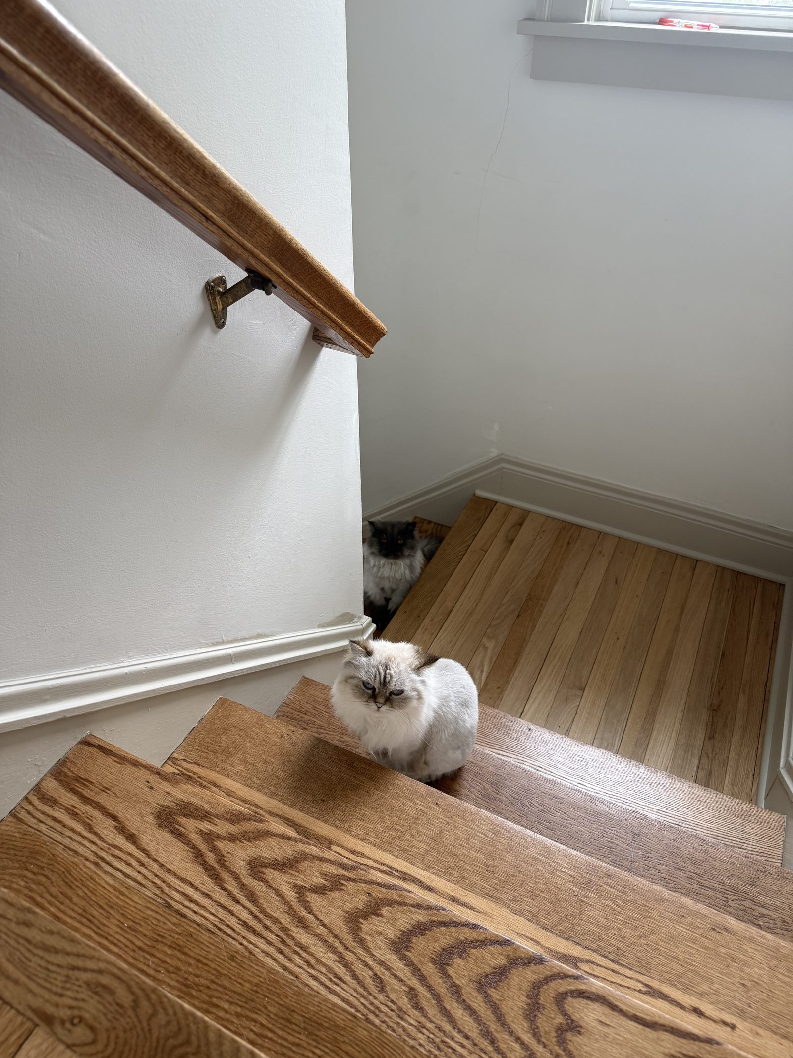 Detail of refinished hardwood staircase treads